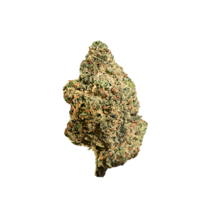 Lemon Bean Flower