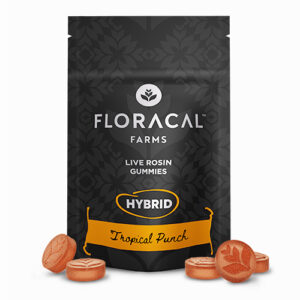 Live Rosin Tropical Punch Gummies